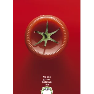 ADV HEINZ TOM BOTTOM