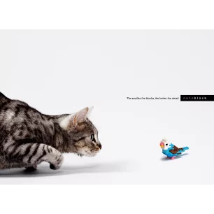 NANO CHAT