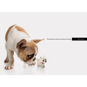 NANO CHIEN