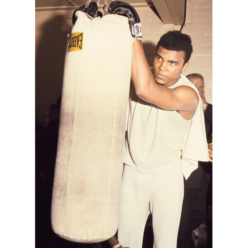 MOHAMED ALI  SAC