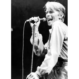 BOWIE