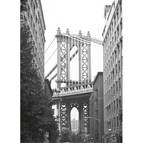 NY BROOKLYN BRIDGE GAM