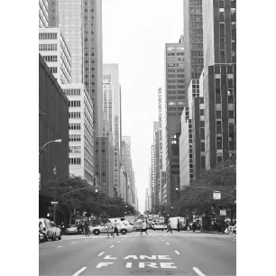 NY LANE FIRE GAM