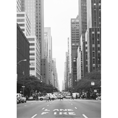NY LANE FIRE GAM