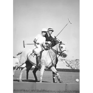 POLO PROFIL GAM