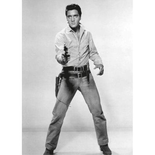 PRESLEY COLT GAM