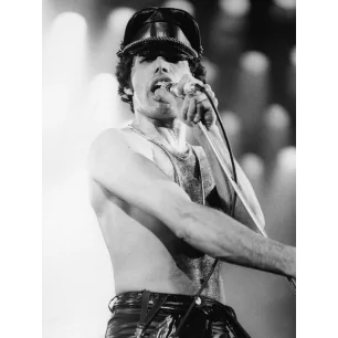 FREDDIE QUEEN