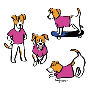 JACK RUSSEL