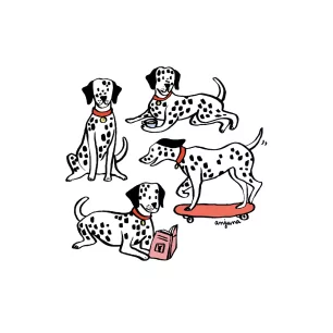 DALMATIEN