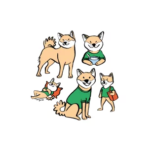 SHIBA