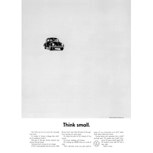 BEETLE THINK SMALL