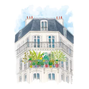 41 Ma forêt