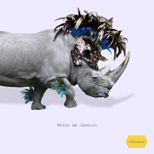 031 RHINO DE JANEIRO
