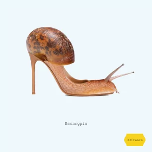 053 ESCARGPIN