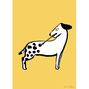 DOG'S OWN SPOTS