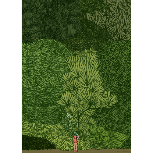 FOREST