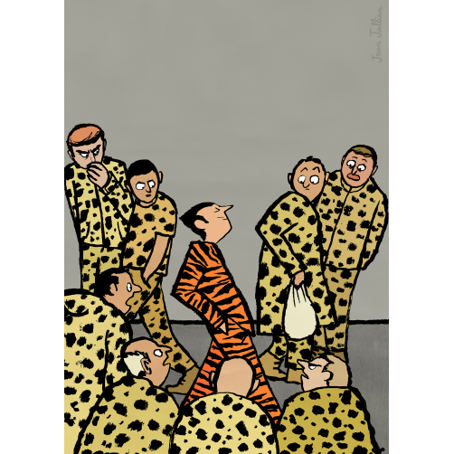 TIGER AND LEOPARDS