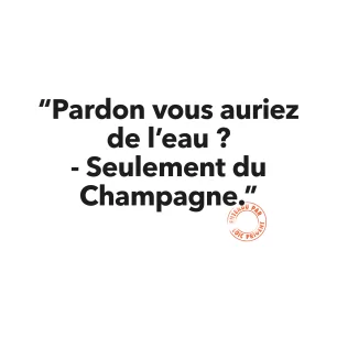 27 PARDON VOUS AURIEZ