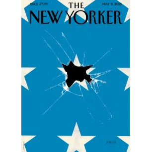 185 - PETER MENDELSUND - BROKEN FLAG WITH STARS