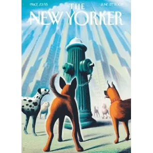 200 - ERIC DROOKER - DOG’S EYE VIEW