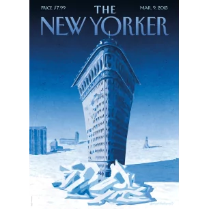 204 - BIRGIT SCHOSSOW - FLATIRON ICEB