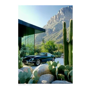 014 - Phoenix in Phoenix