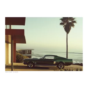 024 - Parked in Malibu