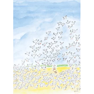 OISEAUX