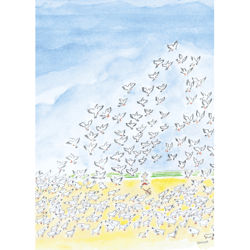 OISEAUX