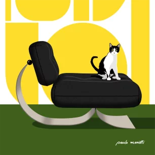 CHAT VERT