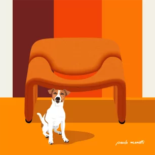 CHIEN ORANGE