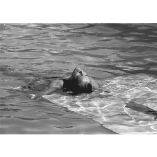 Romy Schneider_GRK7300853