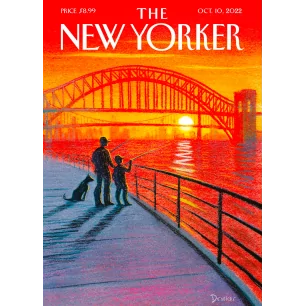 236 2022 DROOKER SUNSET CATCH 567770