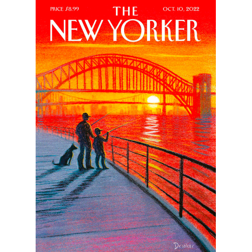 236 2022 DROOKER SUNSET CATCH 567770