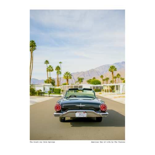 AWOL 017 - The black car Palm Springs