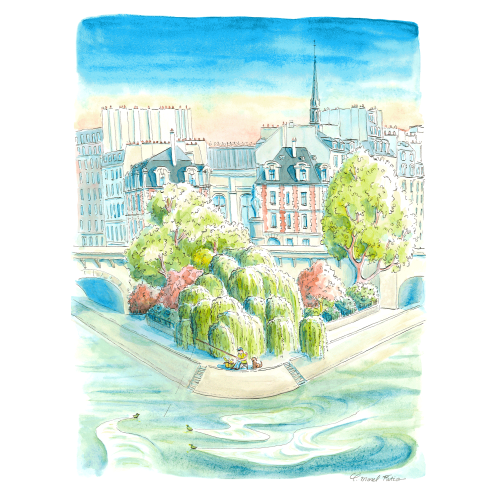 113 SAULE DE LA POINTE