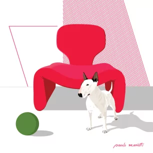 BULL TERRIER
