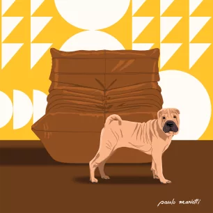 SHARPEI