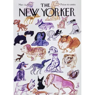 286 VARIETY OF BREEDS OF DOG MAHOOD 74261