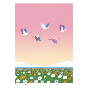 N19 LES OISEAUX