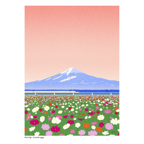 N24 MONT FUJI