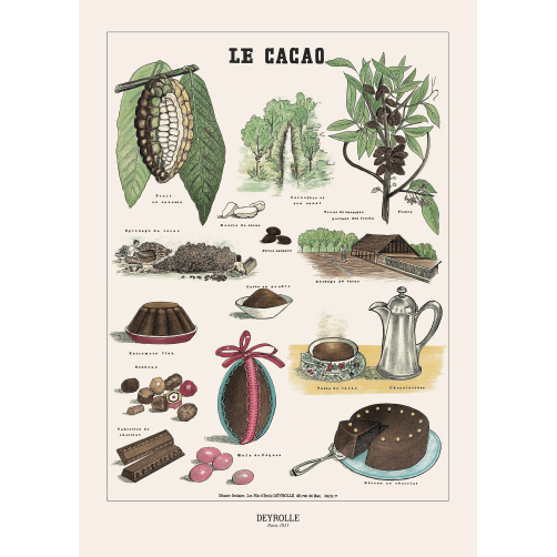 005 - CACAO