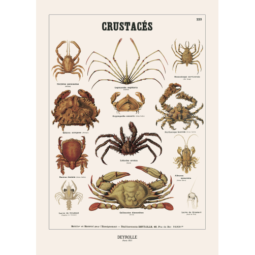010 - CRUSTACÉS 223