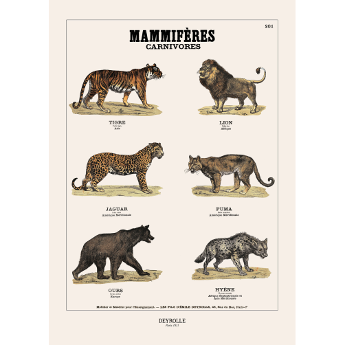 012 - MAMMIFÈRES 201