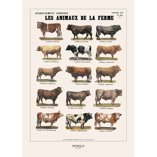 017 - ANIMAUX DE LA FERME 605