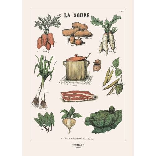 019 - SOUPE 542