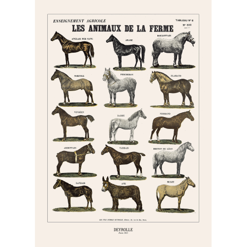 021 - ANIMAUX DE LA FERME 204