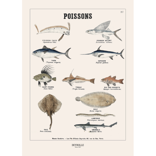 022 -  POISSONS 217