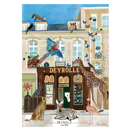 031 FACADE DEYROLLE